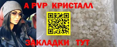 гашик Донской