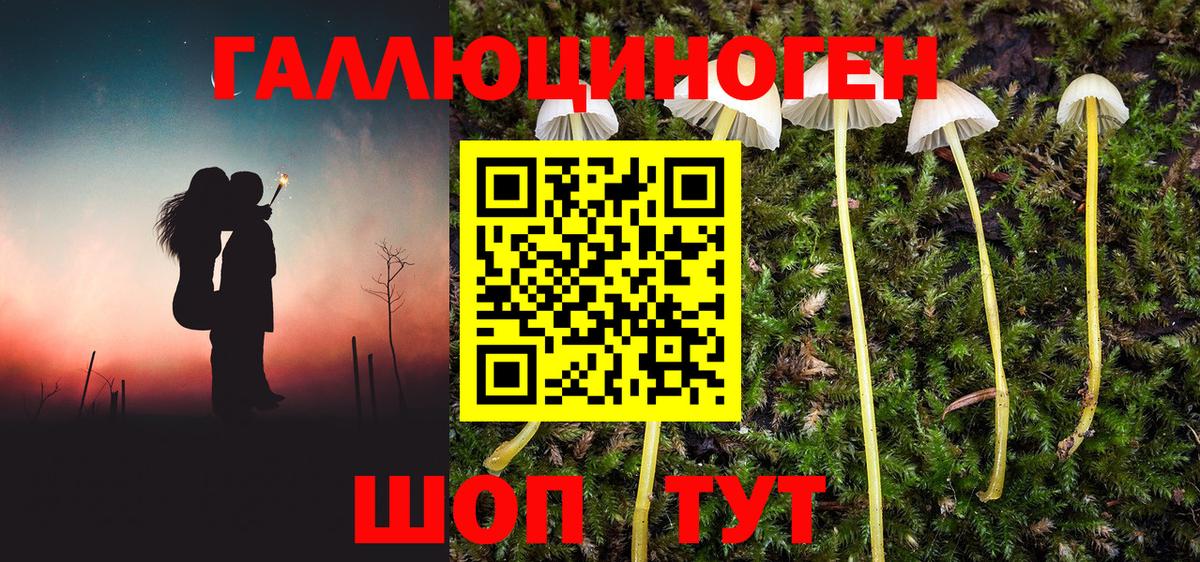 Псилоцибиновые грибы Psilocybe  Вход с VPN  Галлюциногенные грибы Psilocybe  Мелеуз 